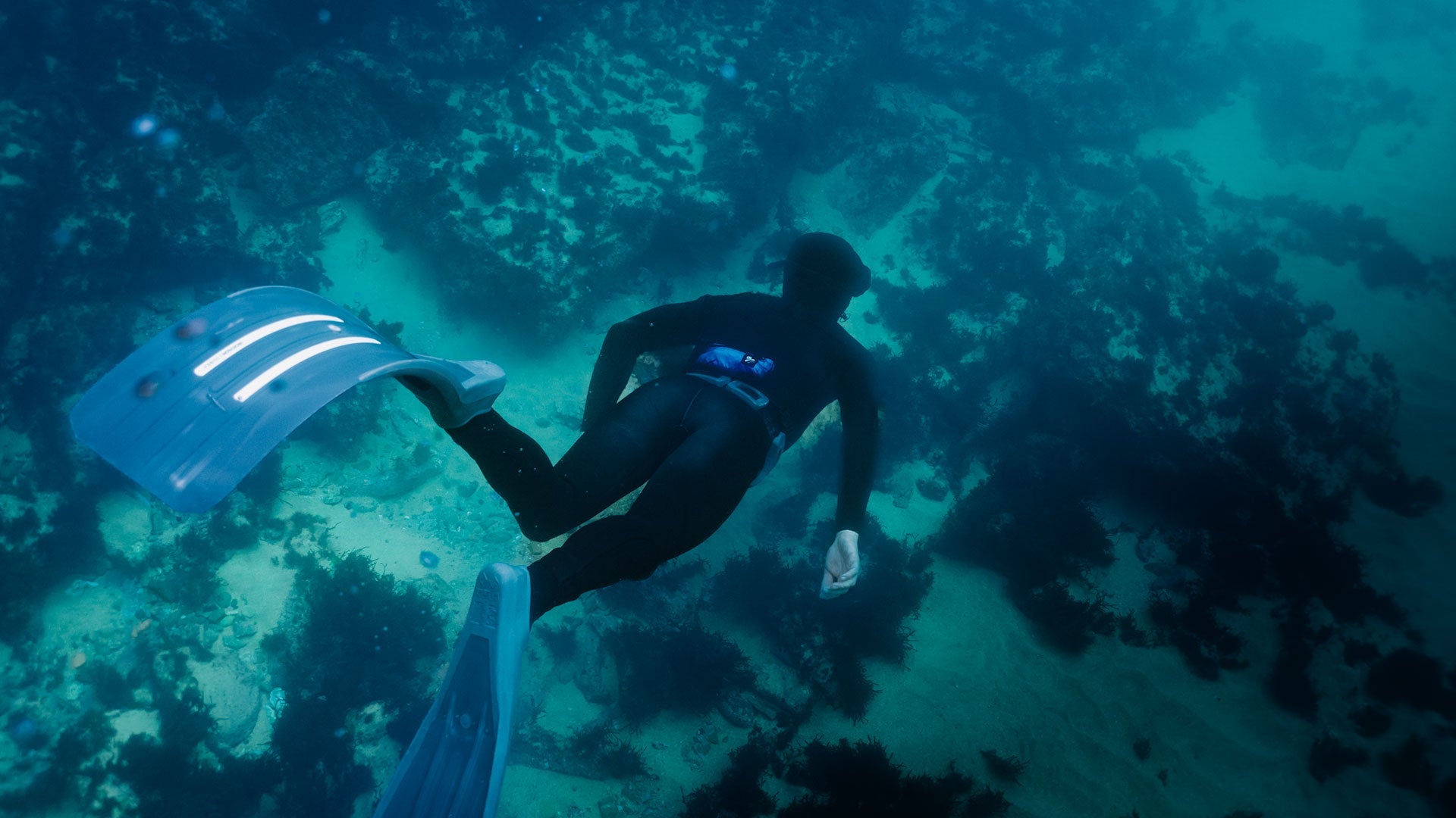 Free diving: The fascinating world of apnea diving