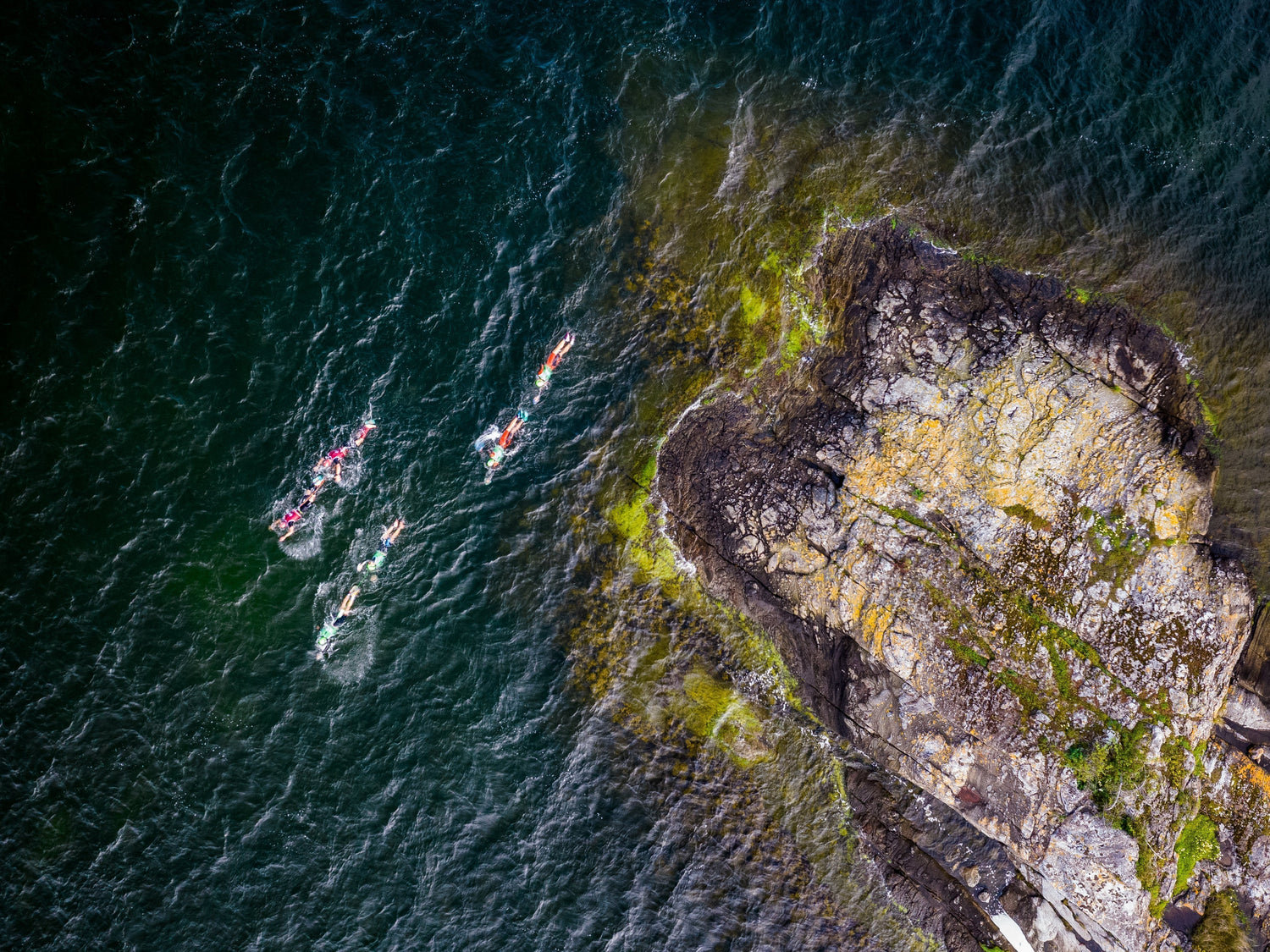 Maximum Safety at Every Race: RESTUBE becomes Official Safety Partner of the ÖTILLÖ Swimrun Series