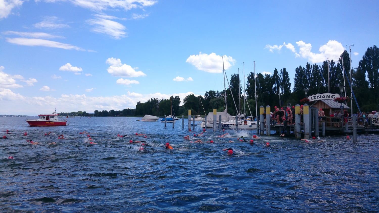 Swimmers in open water, Iznang Radolfzell, Bodensee
