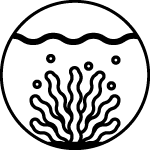 A black-and-white icon depicting underwater plants, symbolizing RESTUBE´s reliability in a critical situation when one happens to get themselves tangled in seaweed or other plants while in the water