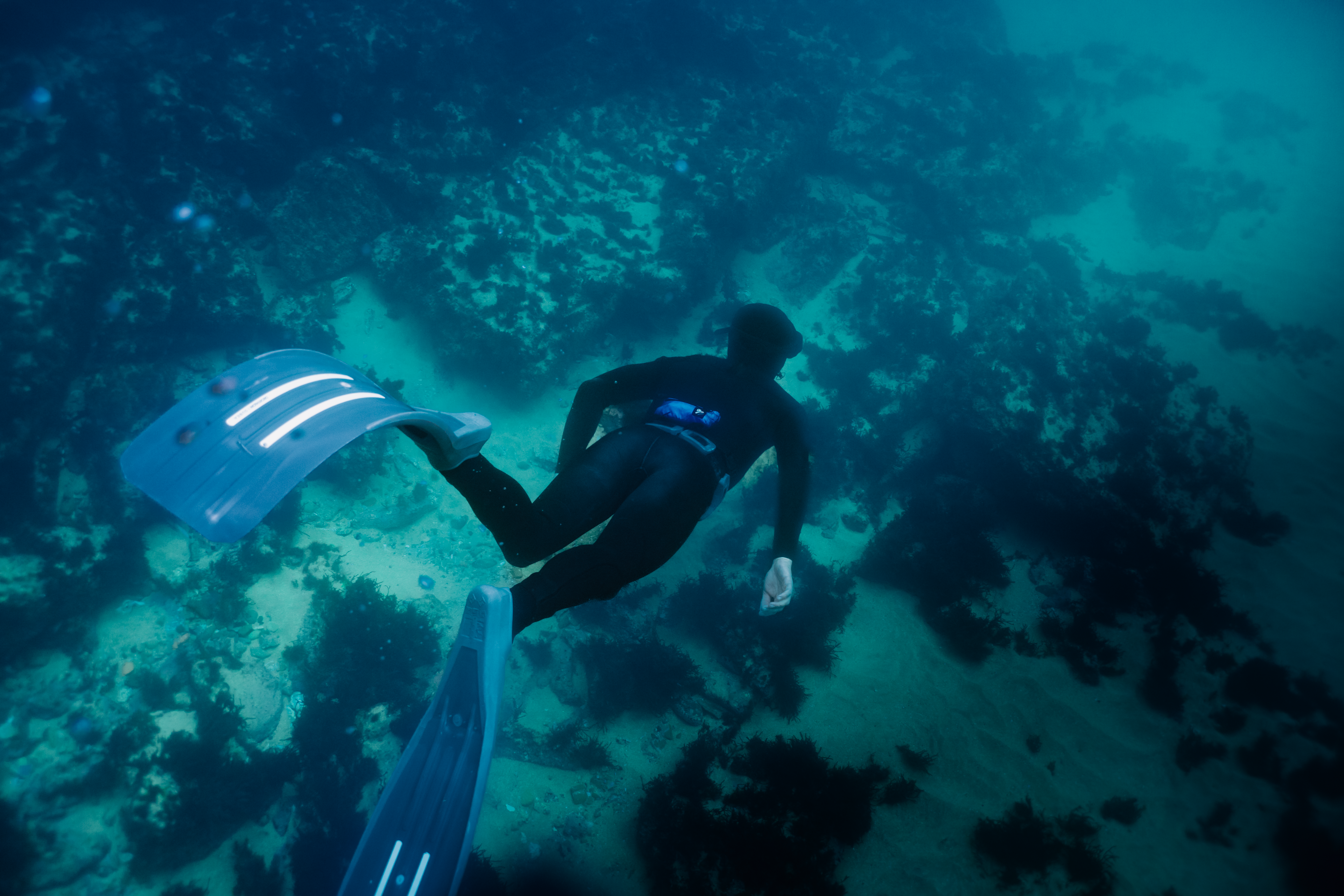 Diver exploring underwater world with RESTUBE safety buoy.