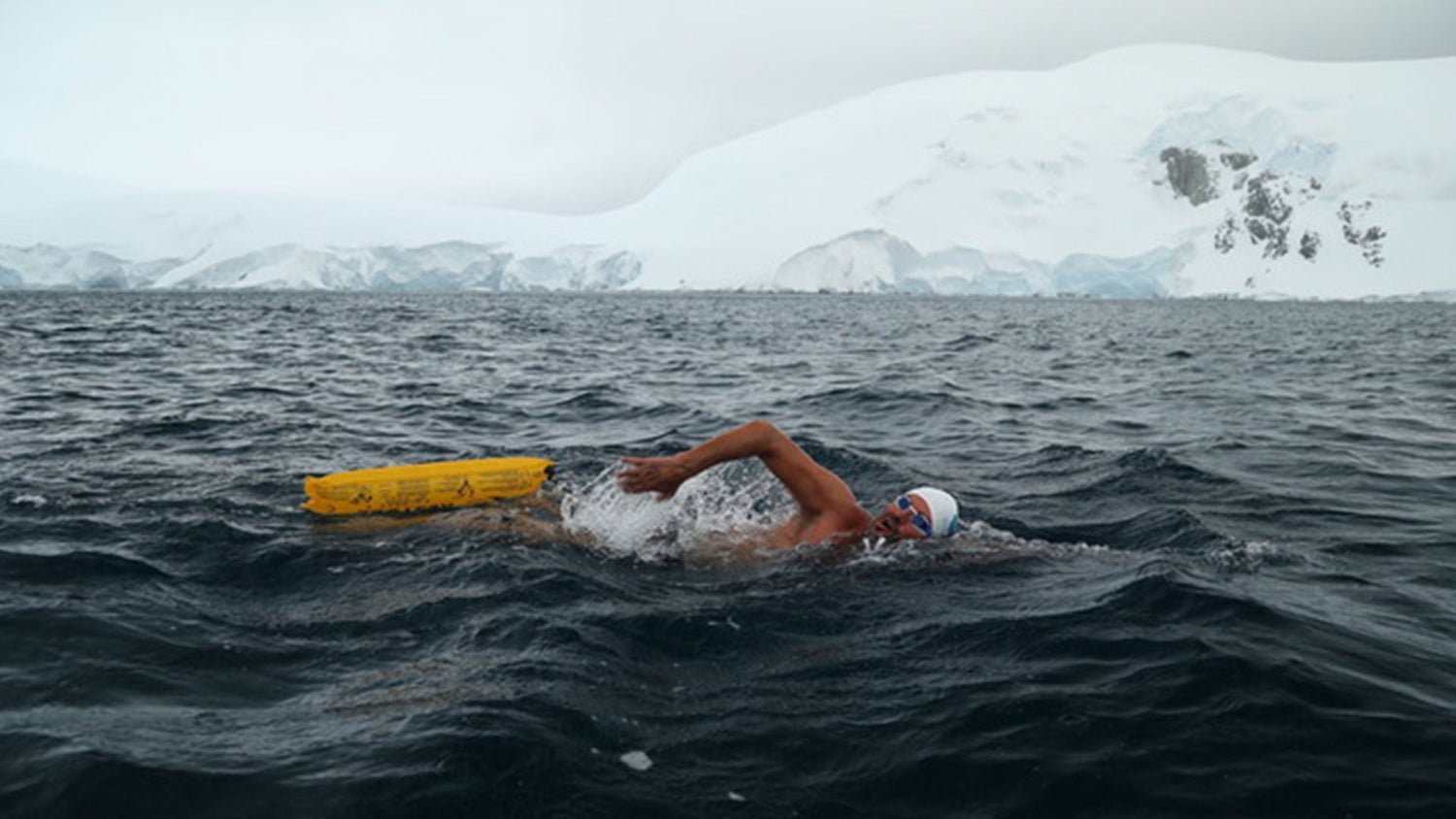 A swimmer in cold, open water near icy Antarctic cliffs, using a yellow safety buoy for visibility and support.