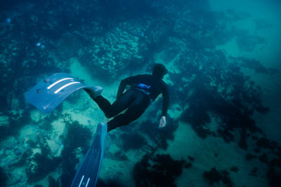 Free diving: The fascinating world of apnea diving