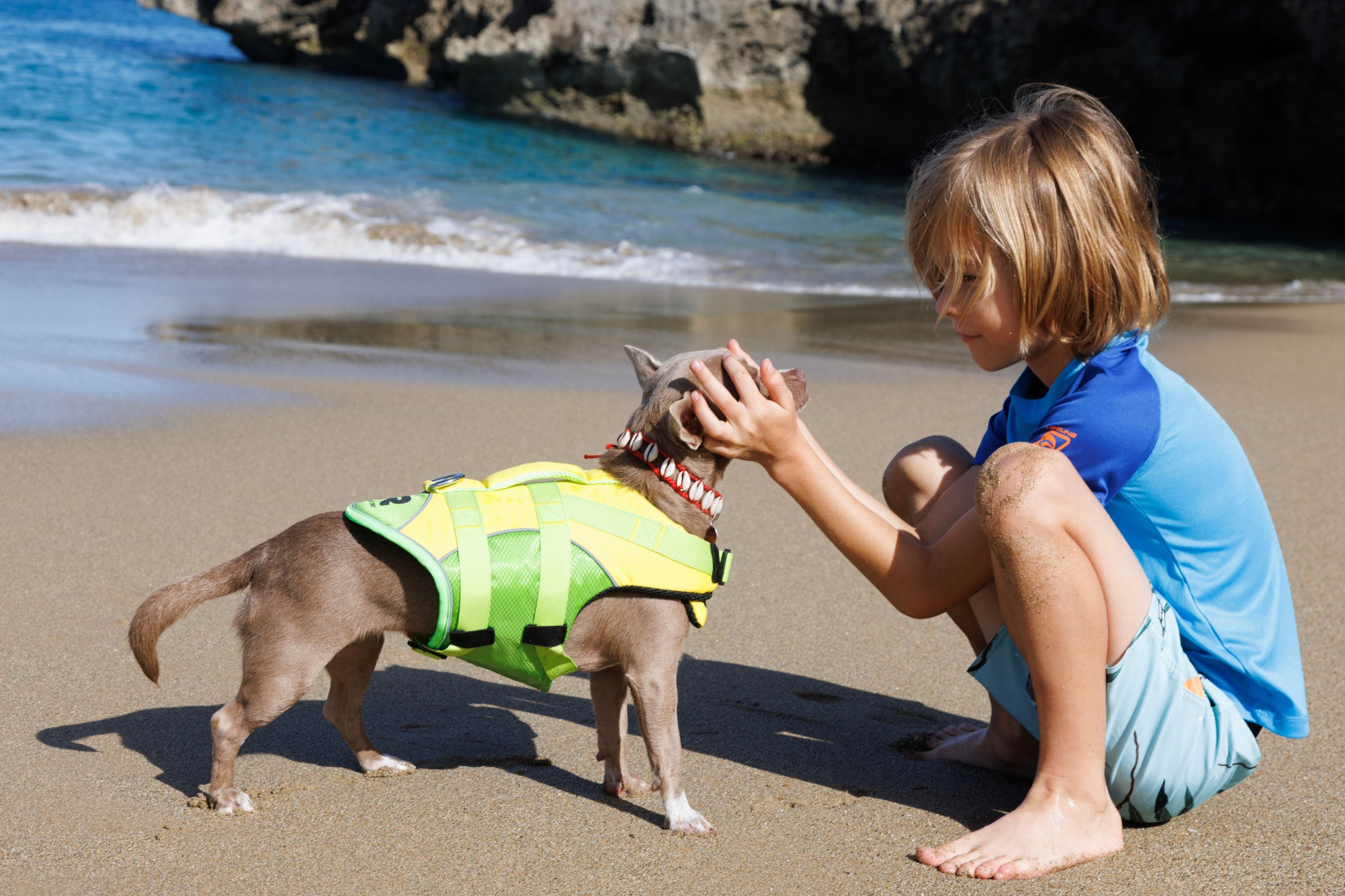 Boy petting a small dog wearing a yellow and green RESTUBE dog life jacket on the beach