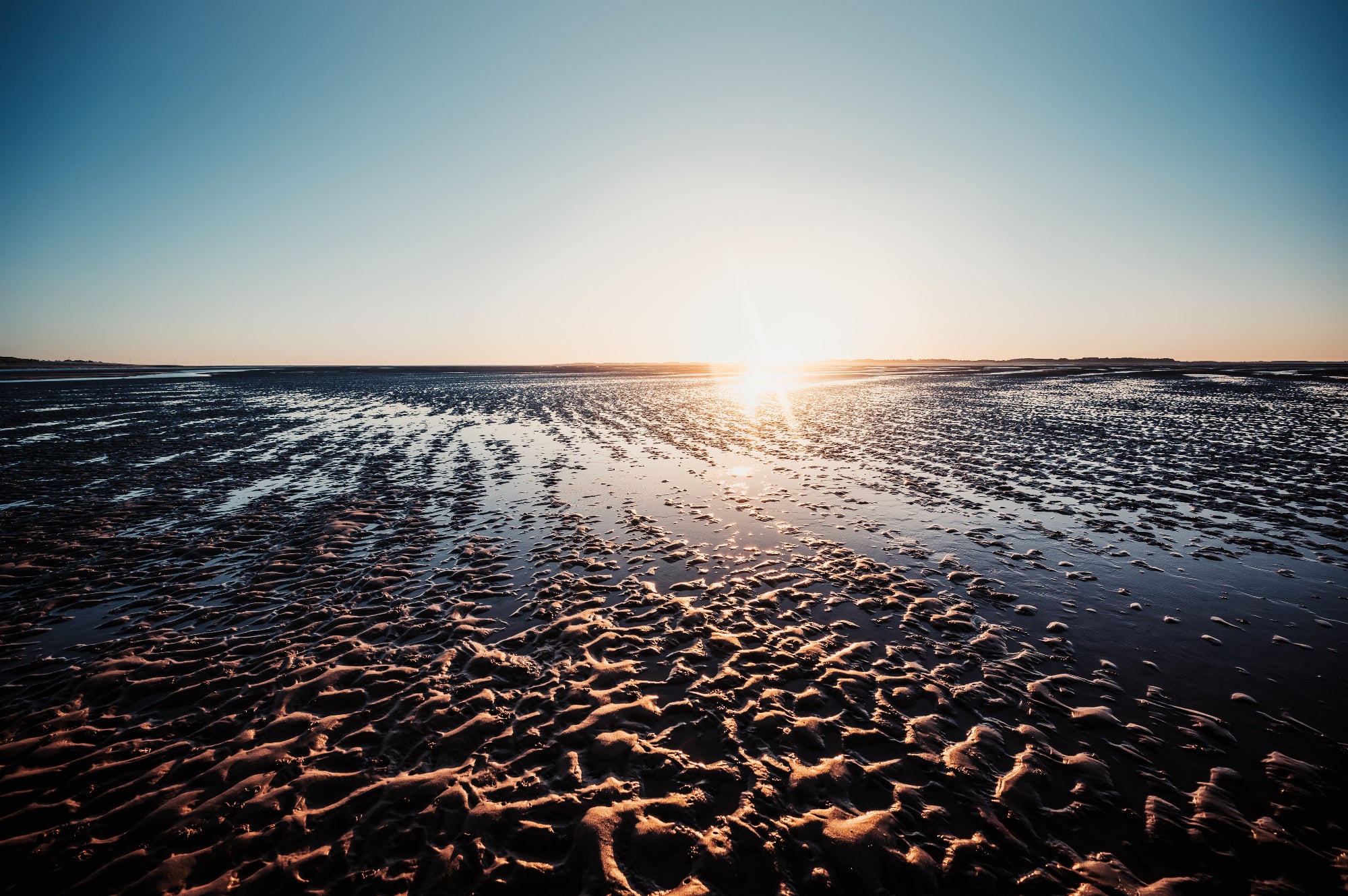 Wide tidal flat at low tide at sunset – exposed sandy seabed showing tidal patterns and water channels
