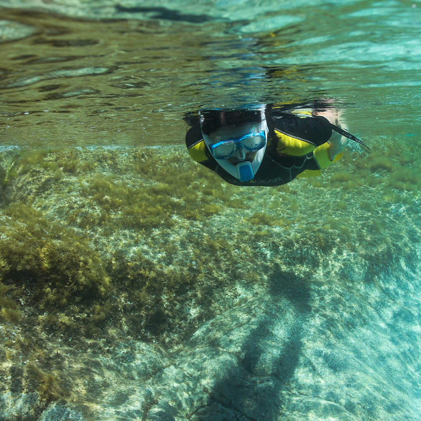 Taucher in Neoprenanzug schnorchelt mit AMEO Powerbreather beach und Taucherbrille an Unterwasser-Felsen entlang